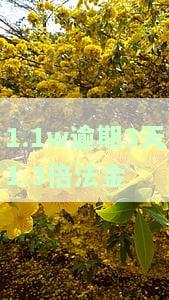 1.1w逾期3天1.3倍法金-逾期1.5倍是多少钱