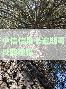 中信信用卡逾期可以取现吗？还款后能否继续使用及取现安全问题解析