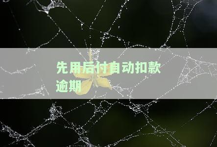 先用后付逾期怎么扣分，深入了解先用后付逾期扣分机制