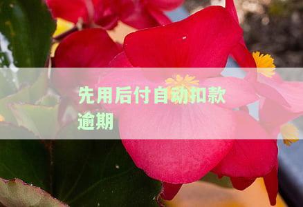 先用后付逾期怎么还款，如何处理先用后付逾期的还款问题？