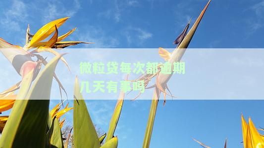微粒贷每次都逾期几天有事吗，逾期还款微粒贷：会对信用记录产生影响吗？