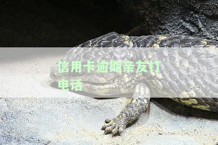 信用卡逾期亲友打电话