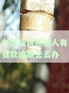 办理营业执照贷款后期有什么影响吗，营业执照贷款后续影响详解