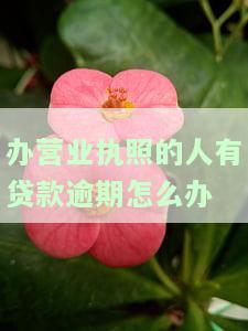 办营业执照的人有贷款逾期怎么办