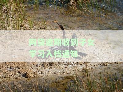 催收说逾期录入子女档案：影响子女升学就业？