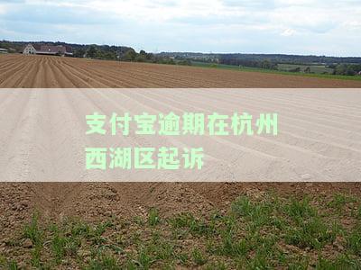 支付宝逾期在州西湖区起诉怎么办，支付宝逾期未还，被州西湖区法院起诉应如何应对？