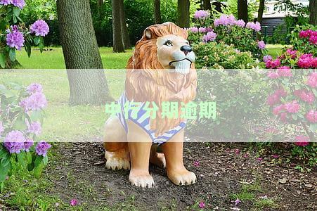 中行分期还款，轻松还款无压力，中国银行分期还款让你省钱又省心！