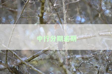 中行分期电话很讨厌，消费者痛批：中国银行分期电话让人厌烦至极！