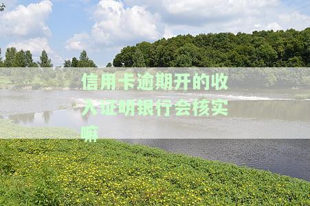 办信用卡开收入证明对公司有影响吗，公司会受信用卡和收入证明的影响吗？
