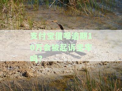 支付宝借呗逾期10万会被起诉坐牢吗?-支付宝借呗逾期10万会被起诉坐牢吗知乎