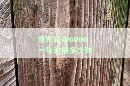 逾期6000元半年，是否会被告上法庭？