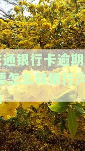 如何与交通银行沟通协商信用卡逾期还款？责任及处理方法全解析