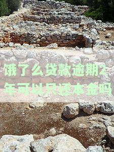 饿了么贷款逾期2年可以只还本金吗-饿了么贷款逾期2年可以只还本金吗