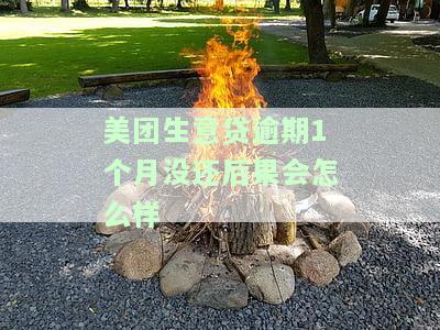 美团生意贷逾期还款后有没有再次借款成功的，美团生意贷：逾期还款后是否影响再次借款？