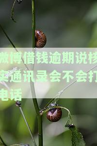 微博借钱逾期通讯录会打几次电话？影响征信、亲友受影响，如何应对未接电话？