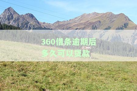 360借条逾期后多久可以贷款