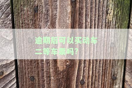 逾期后可以买动车二等车票吗?-逾期后可以买动车二等车票吗现在