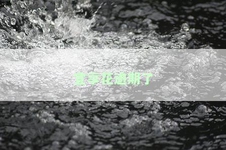 宜享花逾期后是否会爆通讯录？还会被起诉、上门催收吗？会影响个人信用记录吗？
