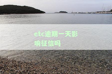 etc逾期一天影响征信吗-etc逾期一天影响征信吗怎么办