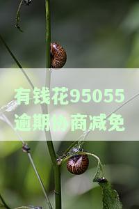 有钱花协商期，如何与平台协商长还款期限？