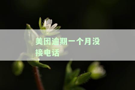 美团逾期半个月会打电话爆通讯录吗？是否会牵连到家人，会上征信黑名单吗？逾期多久才会被催收电话骚扰？逾期3个月会打给家里人吗？