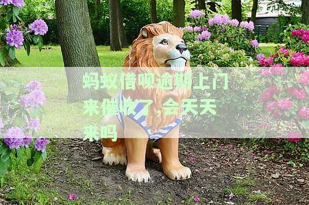 蚂蚁借呗逾期上门来催收了,会天天来吗