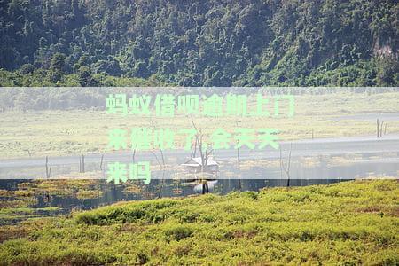 借呗已经上门催收了，借呗催收升级：已启动上门服务！
