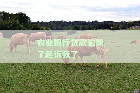农业银行贷款逾期了起诉我了
