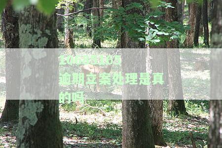 10685165逾期立案处理是真的吗-1068逾期立案处理是真是假