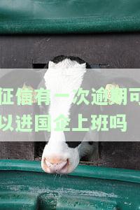 征信有逾期可以入职国企吗，有逾期记录是否影响国企入职？解析征信对求职的影响
