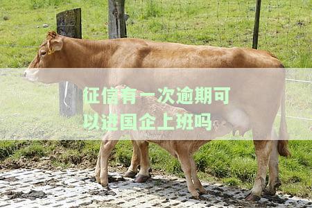 征信有过一次逾期影响进事业单位么，一次逾期记录是否会影响进入事业单位？——探讨征信对事业单位招聘的影响