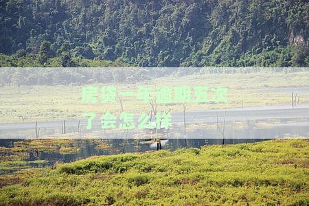 房贷一年逾期五次了会怎么样处理，房贷逾期五次：可能的后果与应对策略
