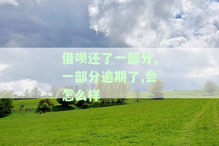 借呗还了一部分，剩下逾期了，需要一次性还清吗？逾期处理方法与影响