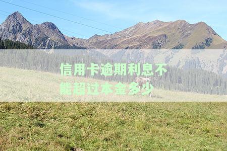 信用卡逾期利息不能超过本金多少？2021年逾期还款指南