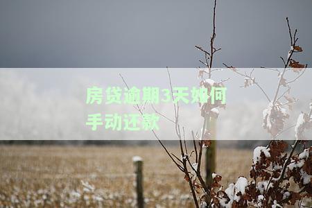 房贷逾期3天会有什么后果，房贷逾期3天可能带来的严重后果，你必须知道！