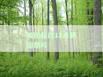 美团超过12点算逾期吗为什么，美团超时配送：超过12点是否算作逾期？原因解析