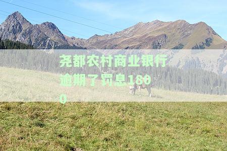 农村商业银行贷款逾期多少天会被起诉？影响及解决办法