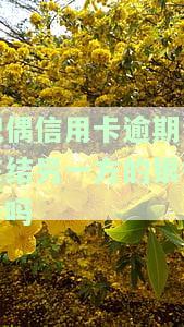 配偶信用卡逾期会冻结另一方的银行卡吗？安全吗？会对配偶产生哪些影响？