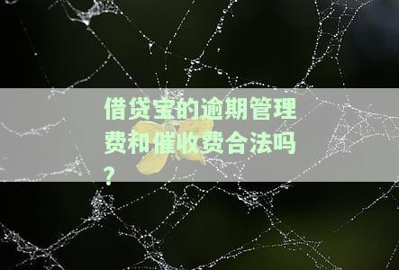 借贷宝平台收取5%逾期管理费是否合法？