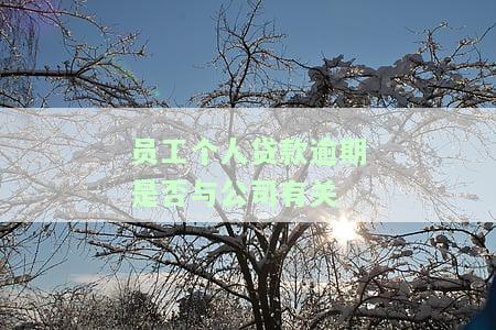 员工个人贷款逾期是否与公司有关
