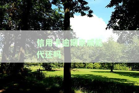 信用卡逾期亲戚能代还吗
