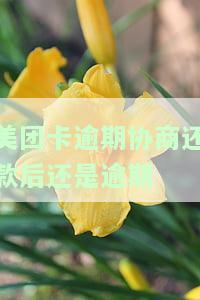 美团卡逾期协商还款后仍逾期：如何解决？美团协商期还款方案及影响，逾期还款是否会自动扣款其他卡？协商还款后额度是否恢复？