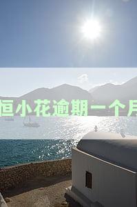 恒小花可以协商期还款吗，询问恒小花是否能够协商期还款？