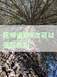 花呗逾期多次已还清，能否再次申请贷款？