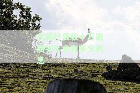 银行贷款10万逾期，逾期未还，银行贷款10万元面临何种后果？