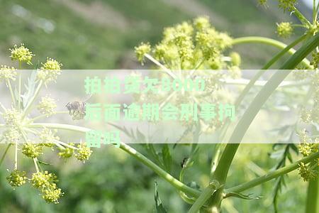 拍拍贷欠8000后面逾期会刑事拘留吗是真的吗，【辟谣】关于“拍拍贷欠款8000逾期会被刑事拘留”的说法是假的！