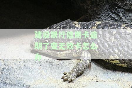 建设银行的信用卡逾期了可以减免吗，如何申请建设银行信用卡逾期减免？