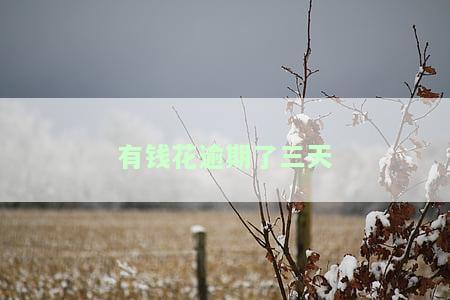 有钱花逾期了三天怎么办，如何解决有钱花逾期三天的问题？
