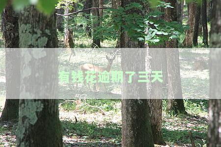 有钱花逾期三天不接电话会给联系人打电话么，有钱花：逾期未接电话是否会通知联系人？