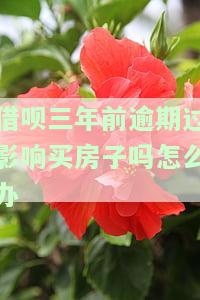 3年前借呗逾期了,会不会影响以后买房，3年前的借呗逾期，是否会影响你未来的购房计划？
